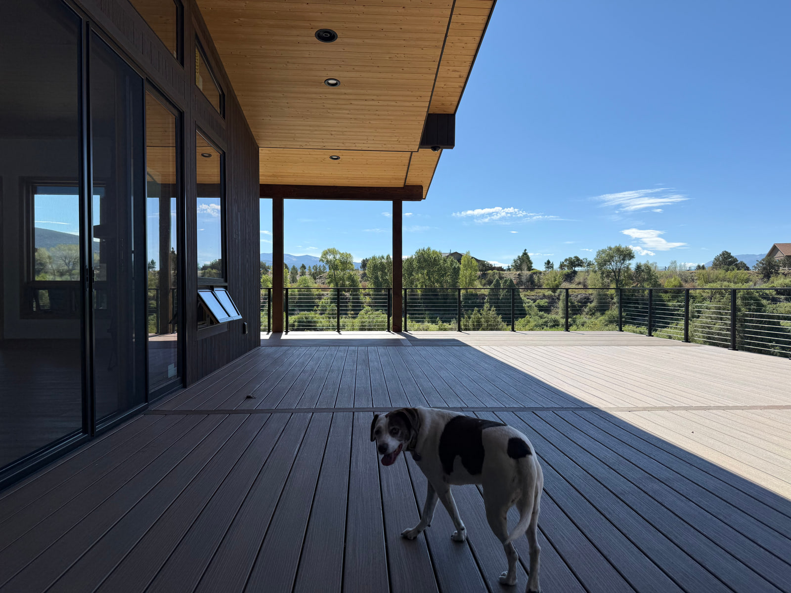 Dog on the covered deck overlooking the riverside landscape.